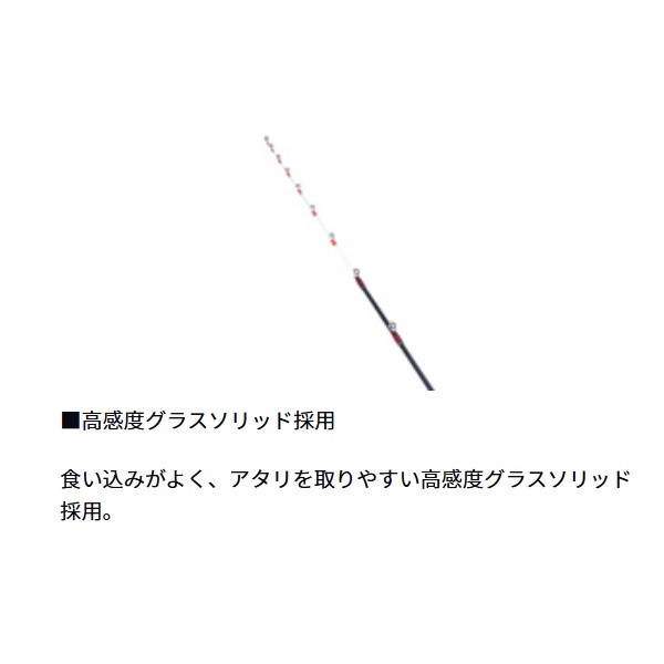 21アナリスター ヒラメ